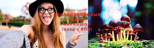 метадон Армянск